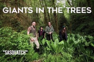 nueva banda de Krist Novoselic