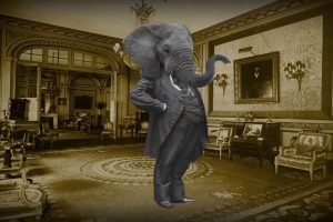 Juan Absatz presenta Un Elefante En El Salón