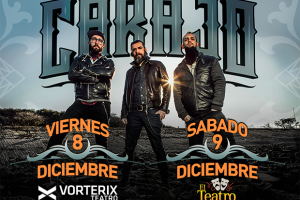 Despidiendo el año con todo!!