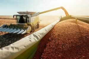 imagen Campaña Agrícola Argentina 2023/24