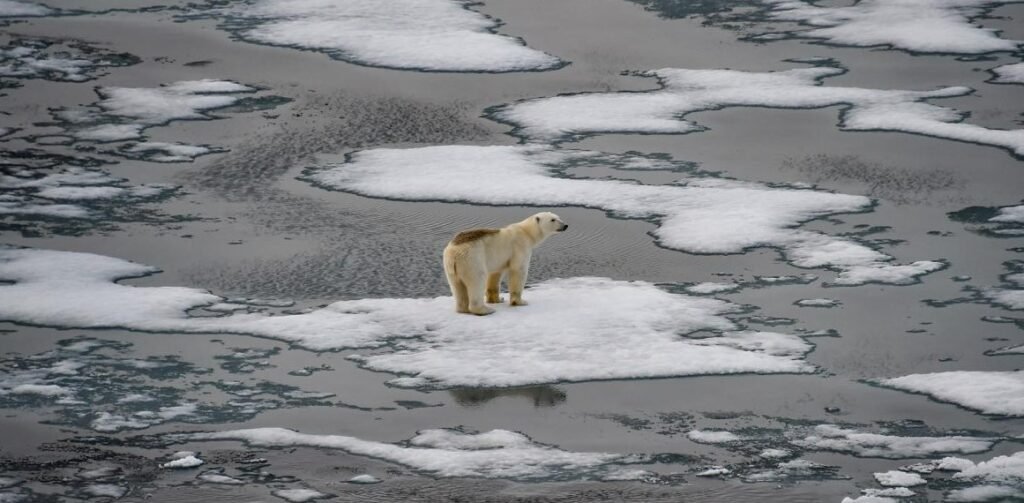 imagen cambio climatico
